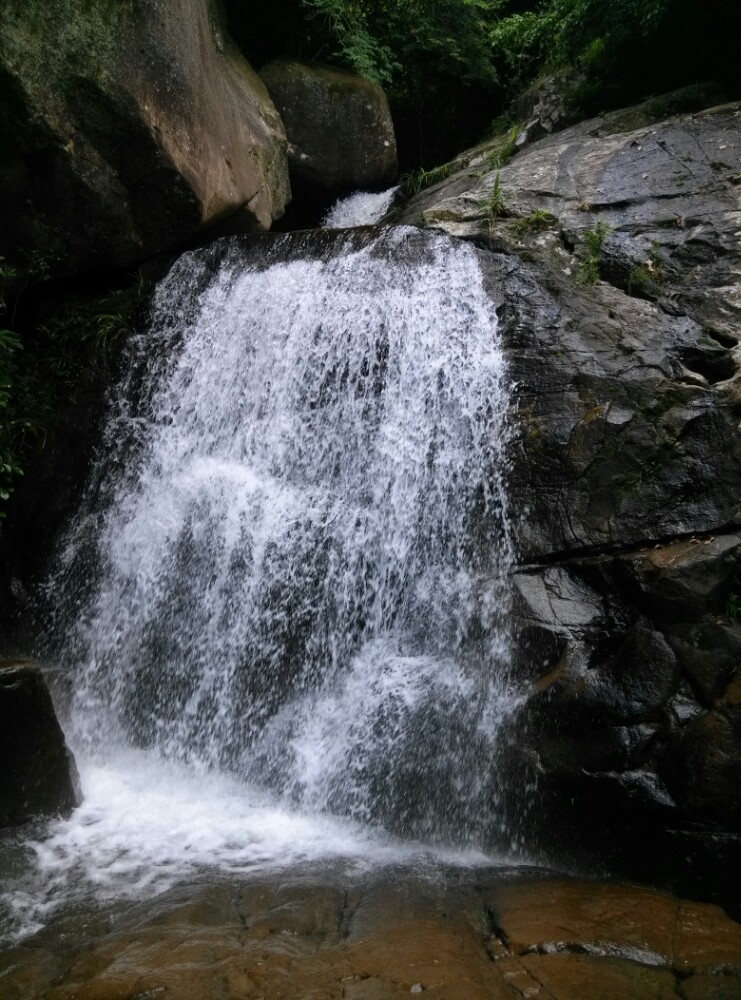 园山风景区,深圳园山风景区攻略/地址/图片/门票