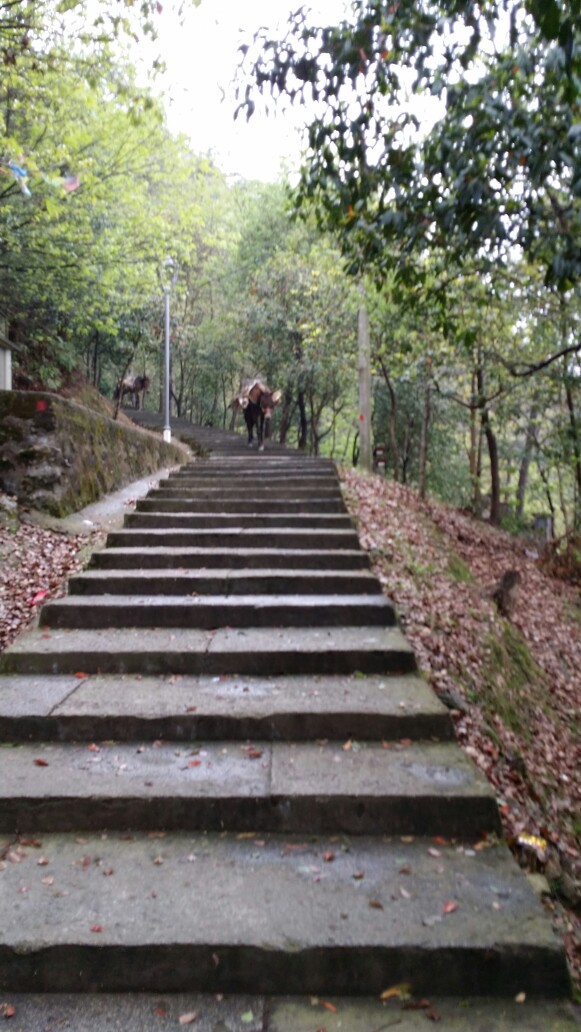 台州黄岩方山冥想行