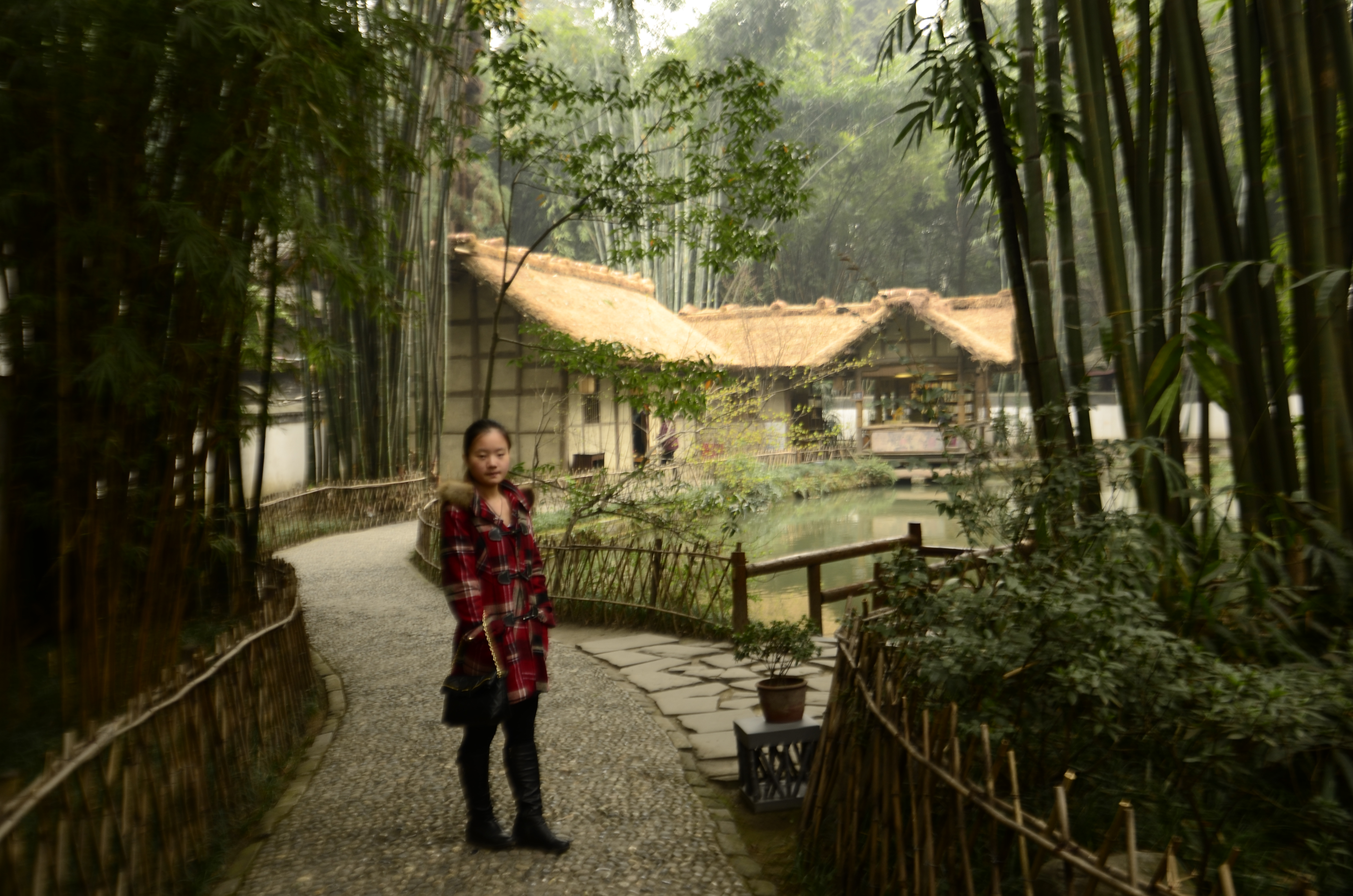 从职业行李进发,回杜甫出来草堂向峨眉山收拾.v职业酒店高中生图片