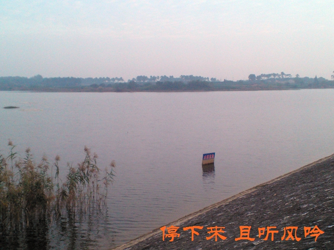 鱼塘垂钓已经引不起钓鱼人的兴趣了,为了体验野钓的乐趣,决定考察高淳区境内的各大水库,上周去了龙墩水库,虽然空手而回,但还是被当地的美丽风景深深吸引。现在,人类对环境的破坏日益严重,水资源越来越少,水库也不可避免地受到影响。原来水库、大河里的水可直接饮用,现在水越来越肥了,还敢直接喝吗?水的破坏导致鱼儿也逐渐减少,虽然有很多的大物还藏在各大水库里,但要想弄它们上来,可不是件容易的事了。 百度了一下,我们当地还是有几个水库,弄清线路后,周末决定前往离我们很近的东坝镇苗圃水库。介绍说,这里环境优美,水质好,面积