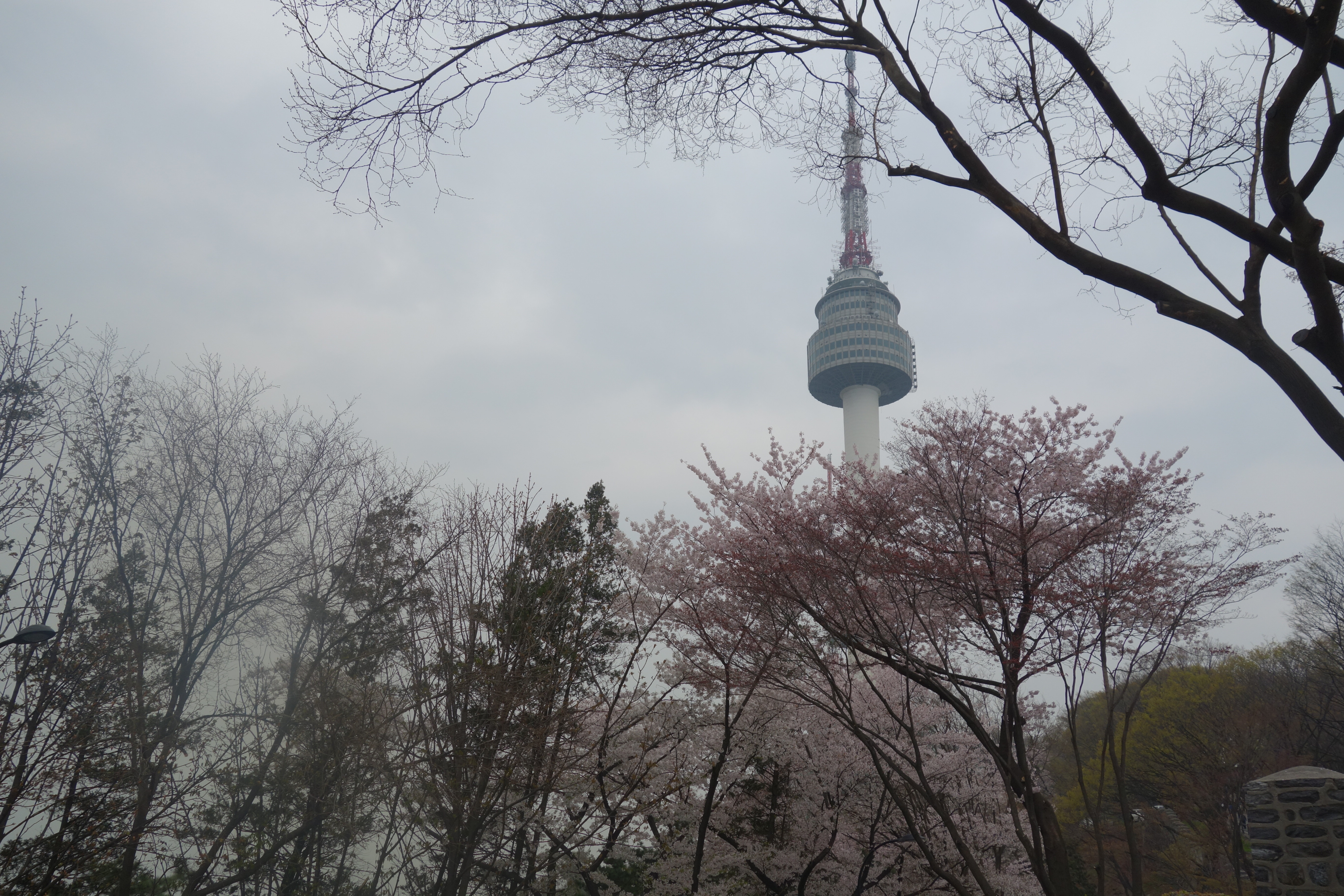 2019南山公园_旅游攻略_门票_地址_游记点评,首尔旅游景点推荐 - 去