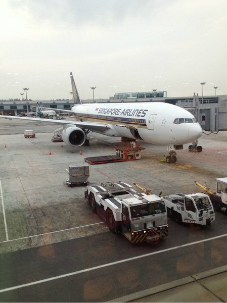 我们的飞机终于降落在新加坡机场,行李不用自