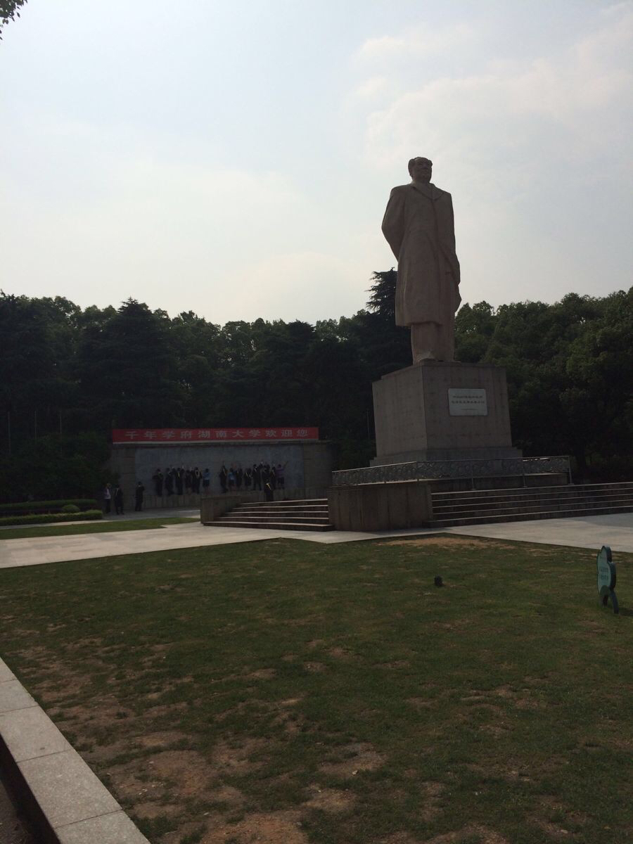 湖南桔子产地 湖南桔子价格 湖南桔子产地价格
