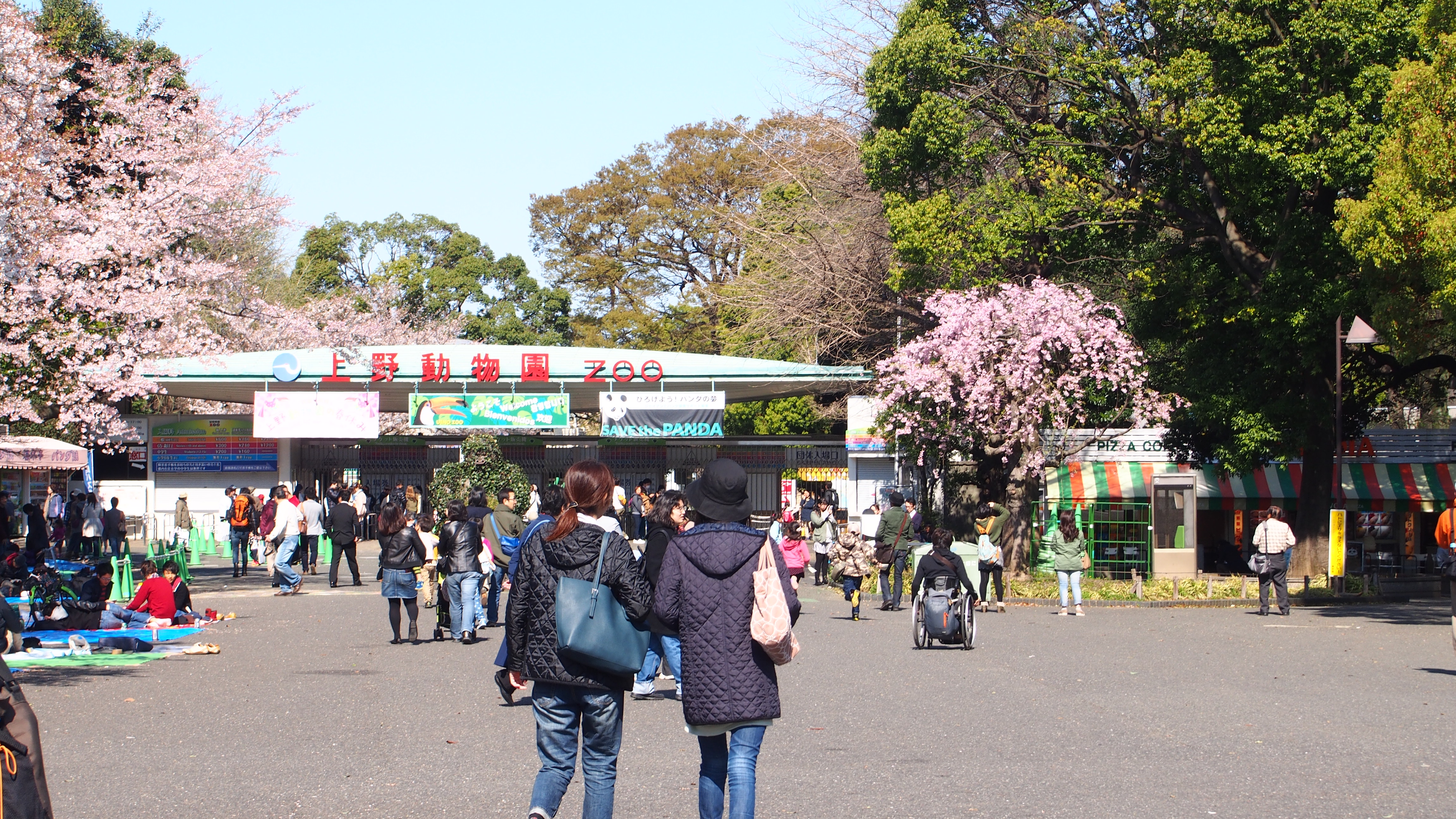                   上野公园 适合