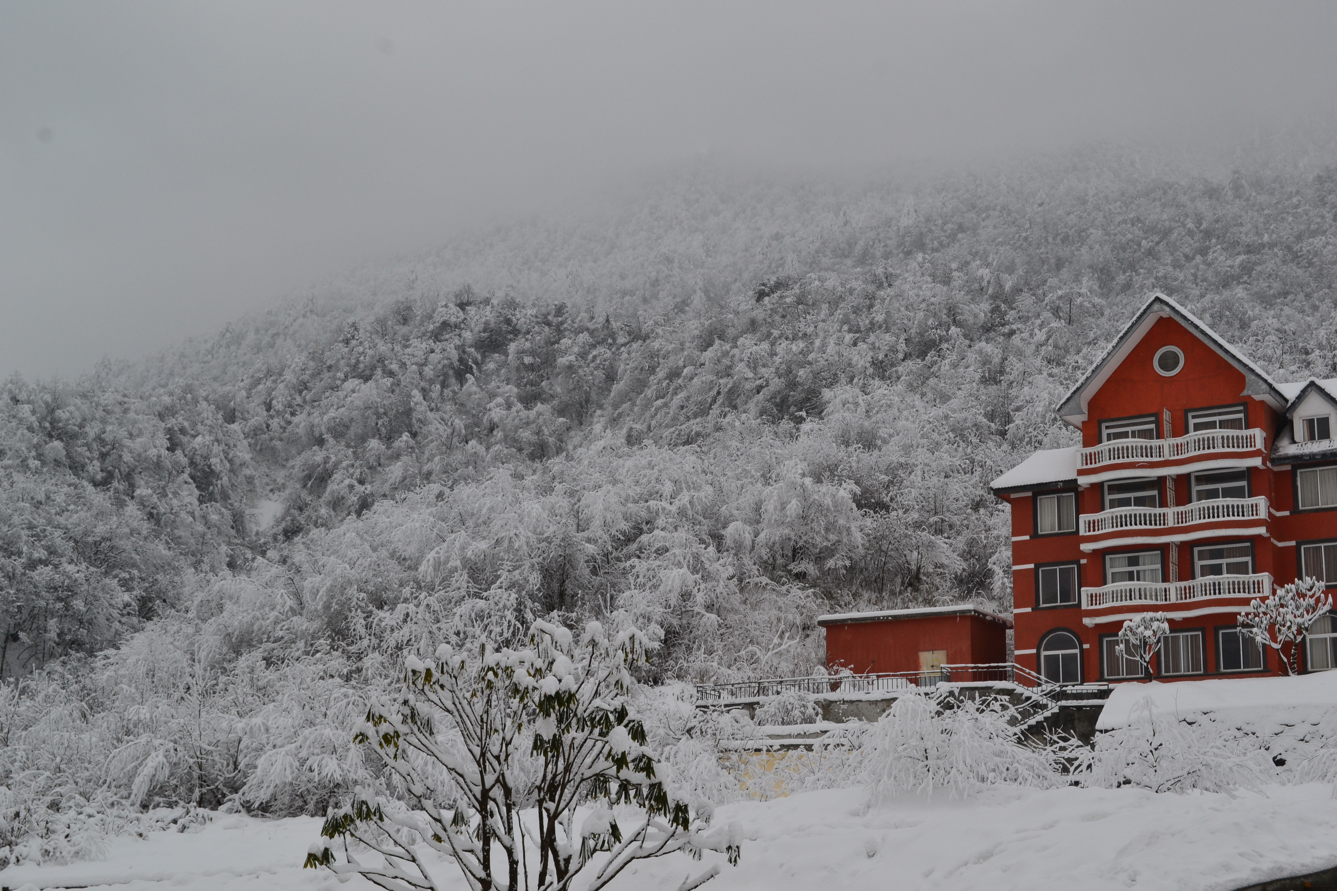 在北京没有雪的冬天,我去西岭雪山看雪,成都看熊猫,吃