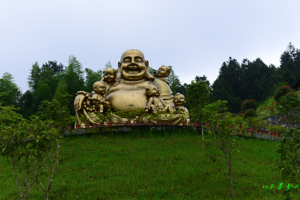 从西北到西南 独行陕 渝黔 贵州(二) 梵净山