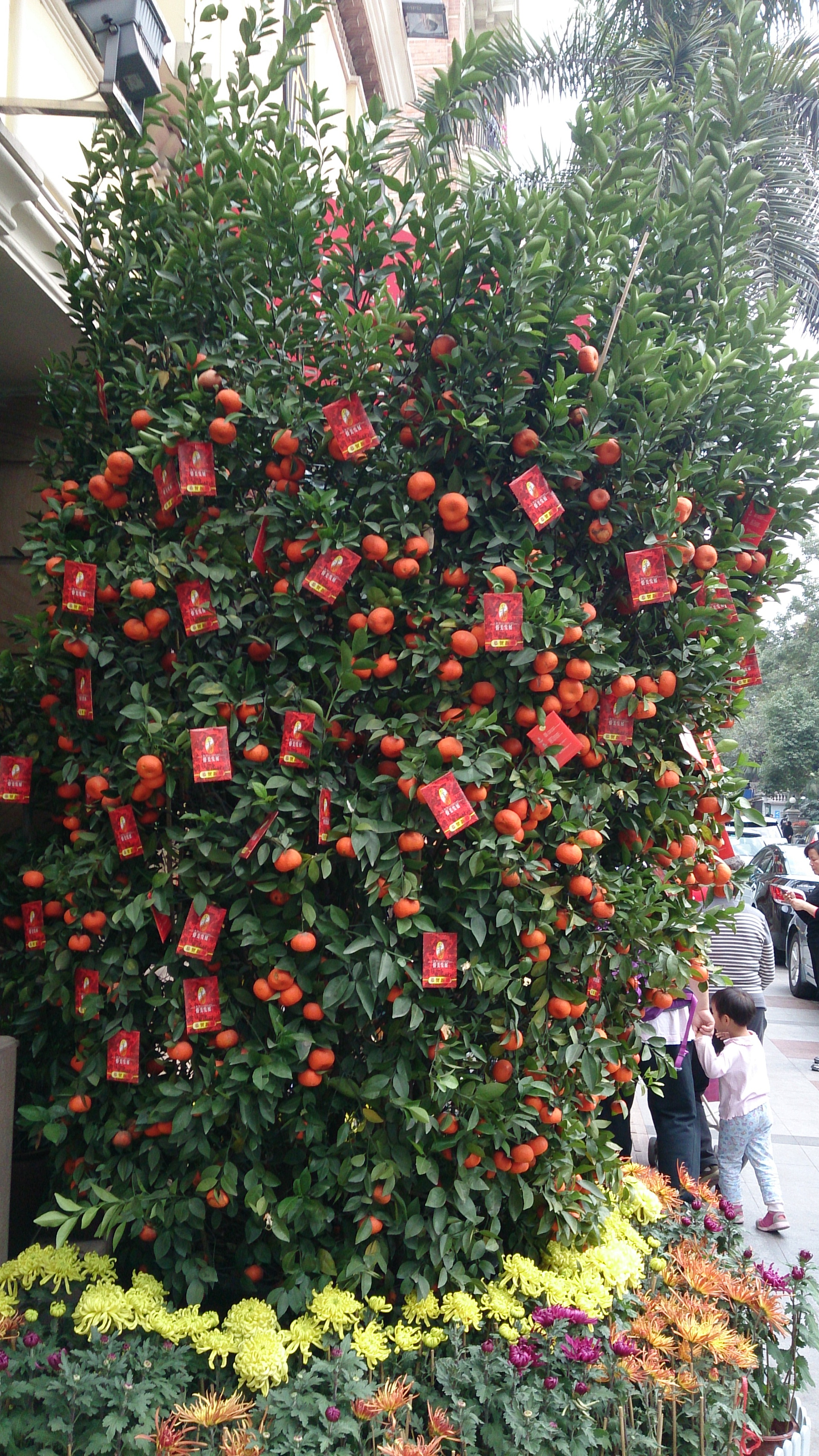 香港往广州怎么打手机 顺便说说广州往香港怎