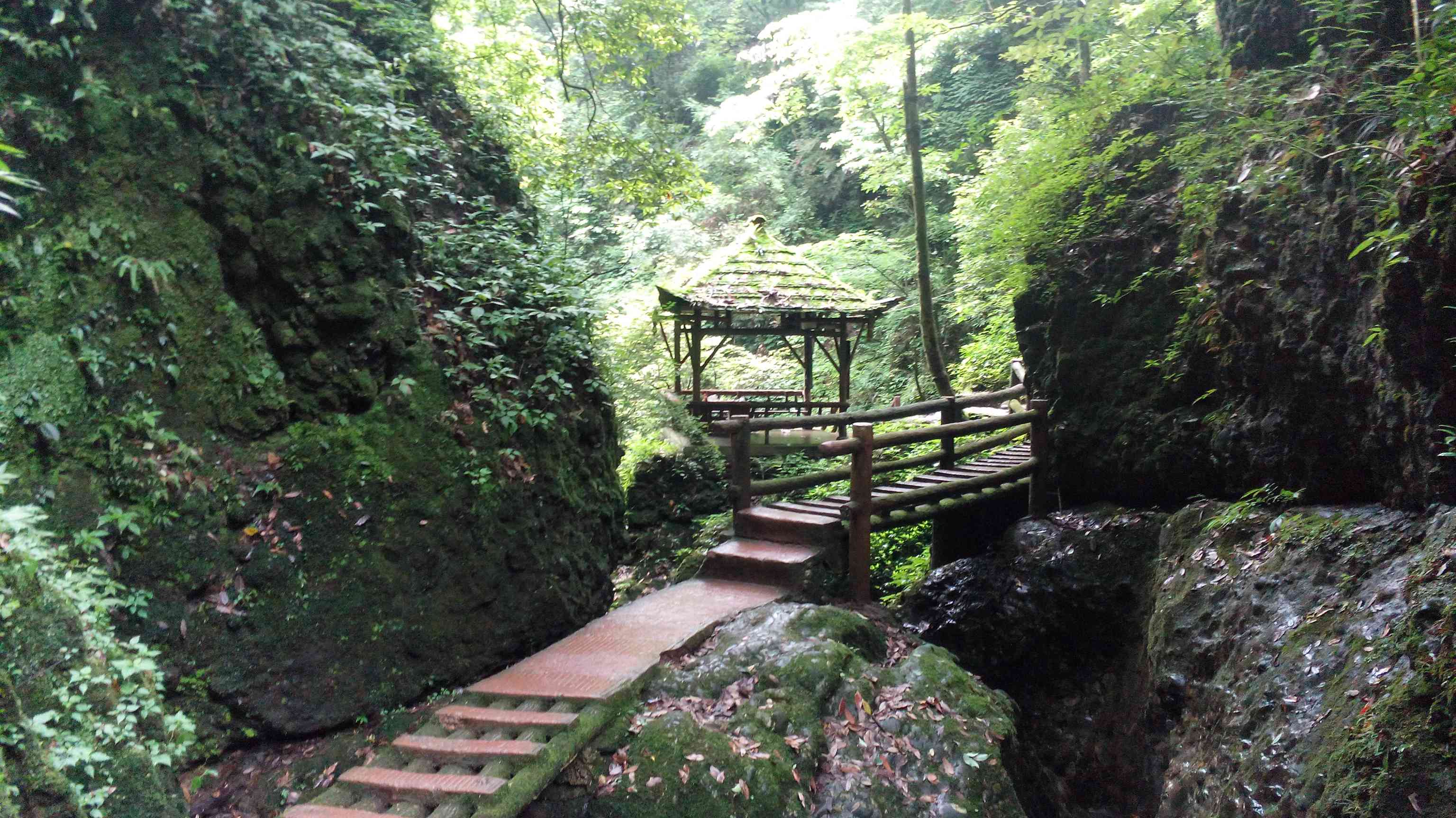 6月 重游成都 外加"青城山&都江堰"
