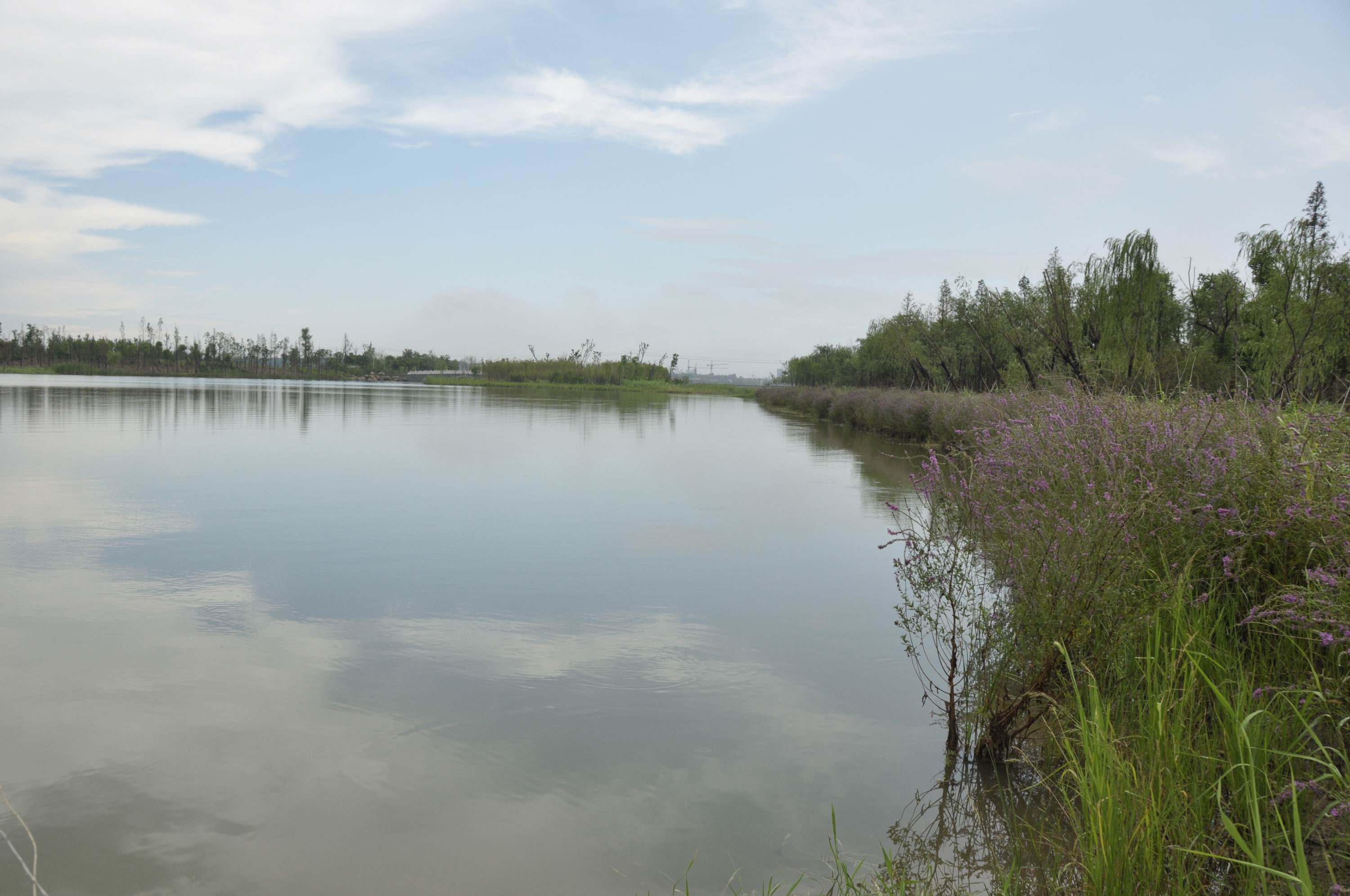 潘安湖湿地公园,徐州潘安湖湿地公园攻略/地址/图片