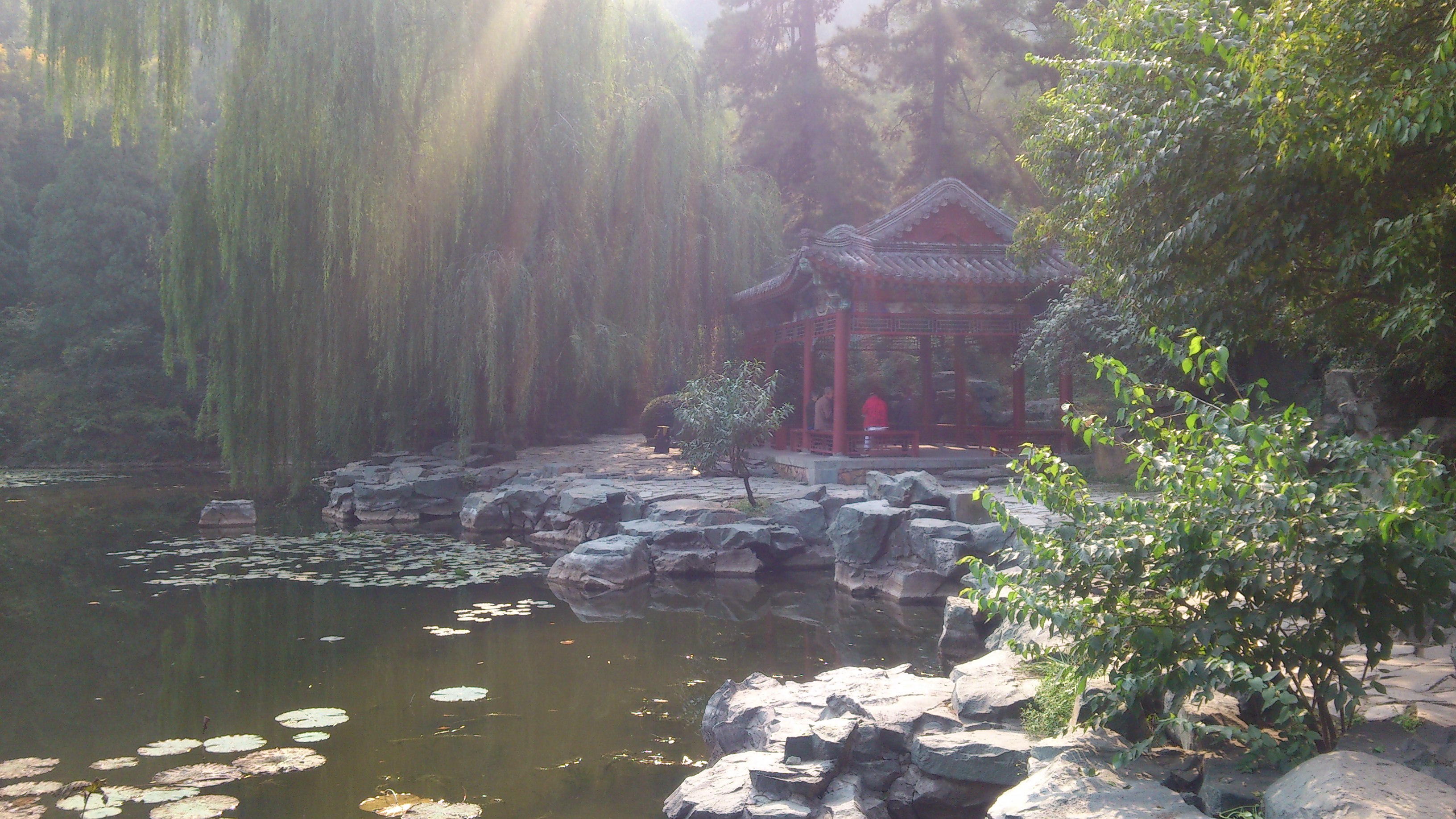                     绿柳山庄.