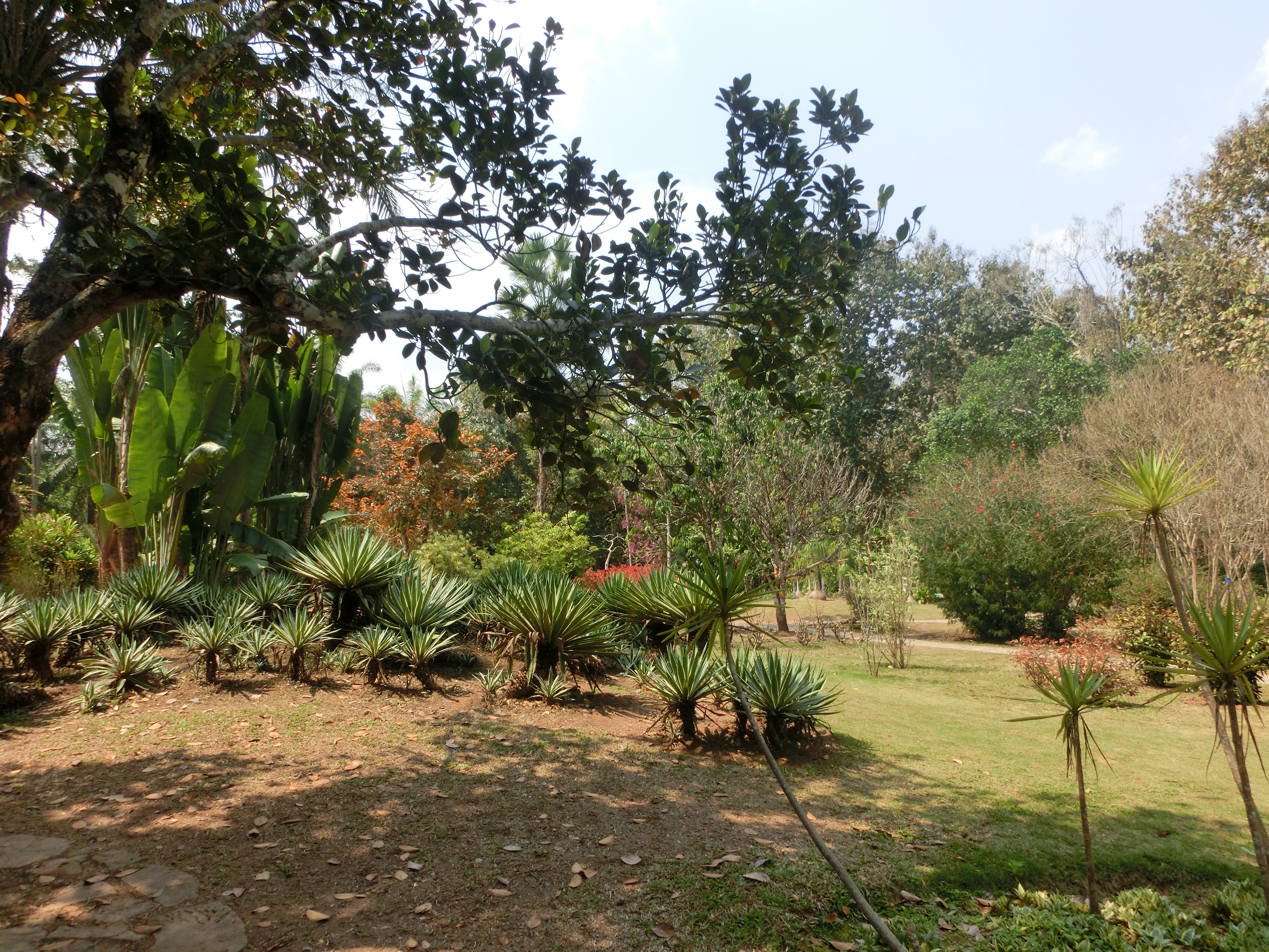 西双版纳——世外桃源般的热带植物园