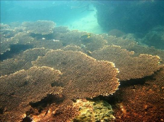 加井岛的完美一天--寻找内心最深处的浪漫情节