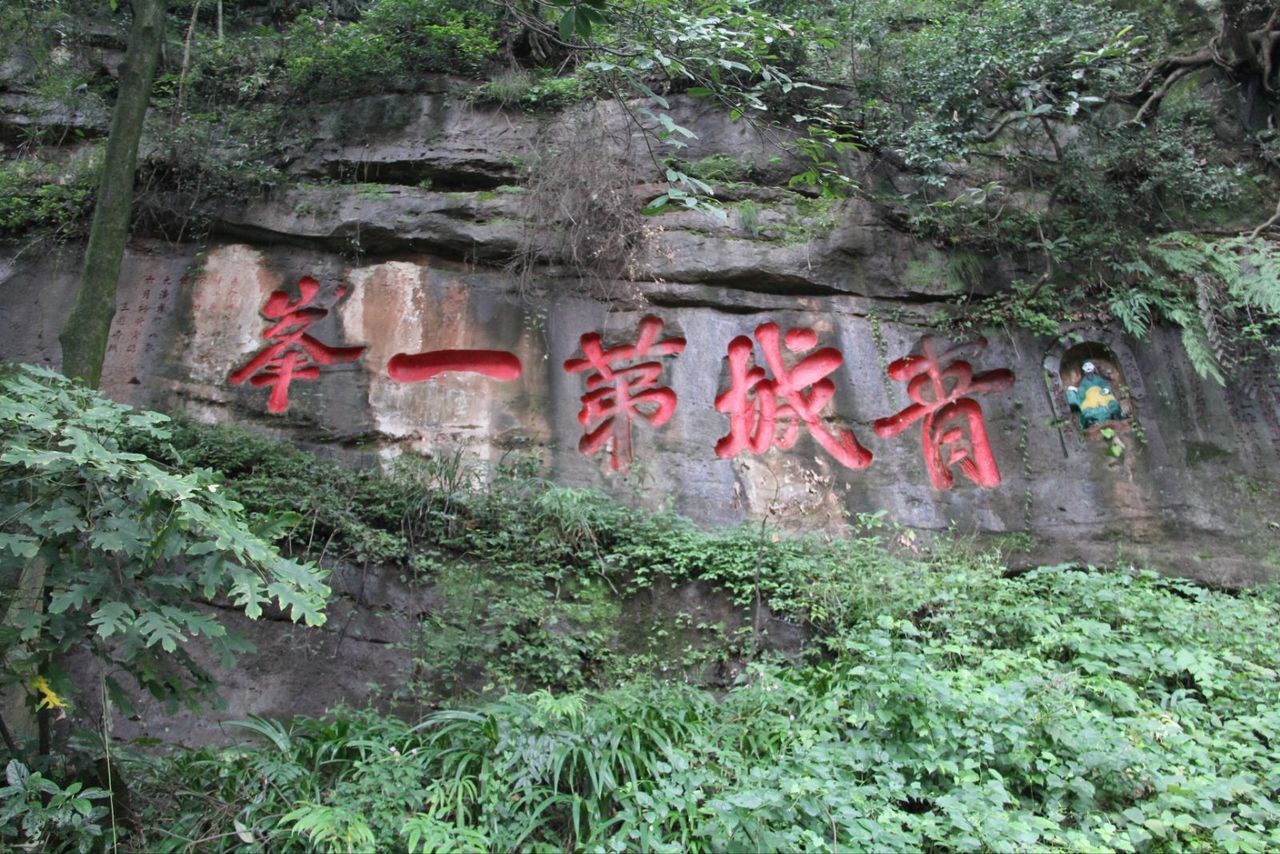青城山下白素贞,盘点青城山六大著名游览胜地