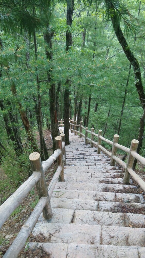 五龙洞国家森林公园