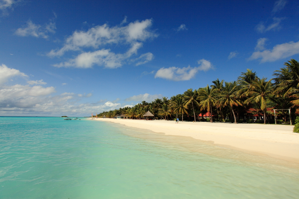 【i旅行】四分之三个天堂（马尔代夫免费游全记录）