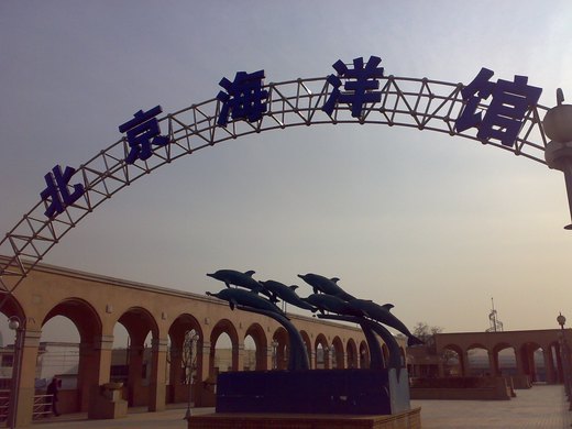 北京海洋馆图片