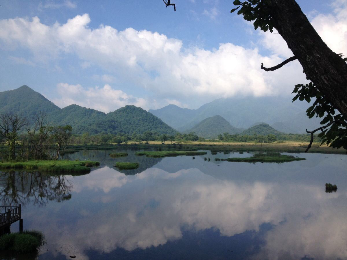 第3天 2014-07-26 神农架景区和大九湖景区风景还是很美的,给众多朋友