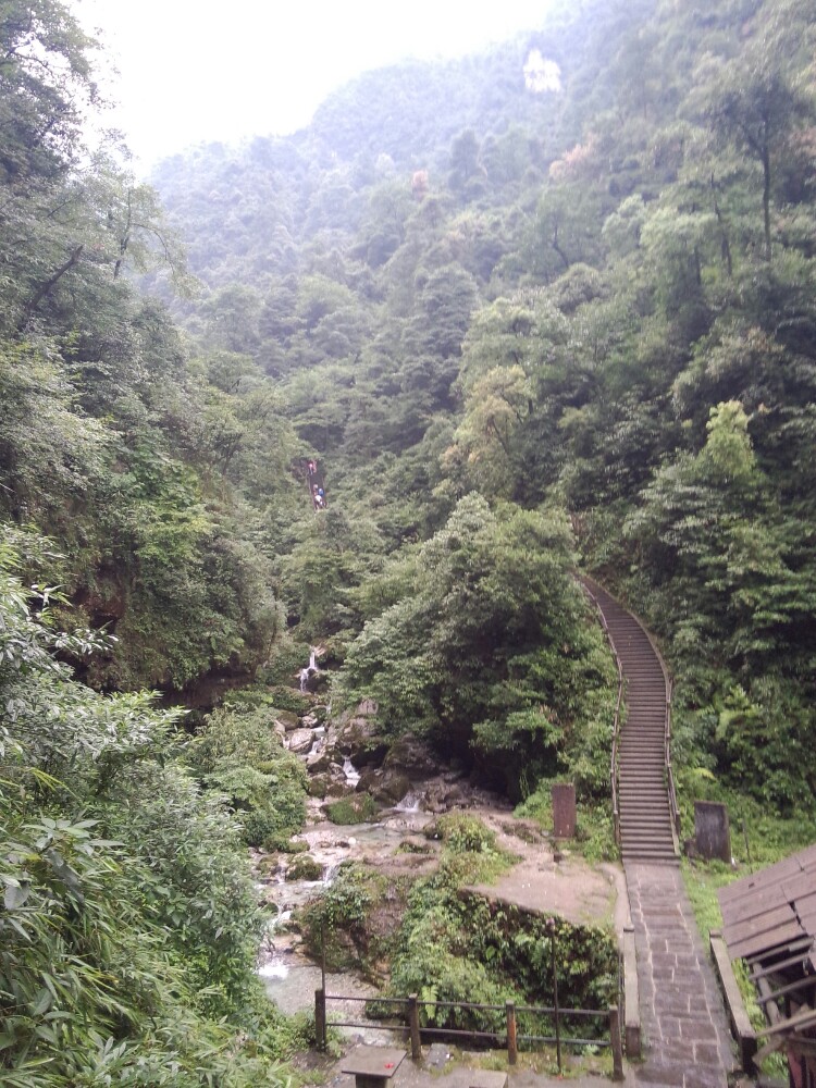 峨眉者,山之领袖——徒步一日登顶 - 峨眉山游记攻略