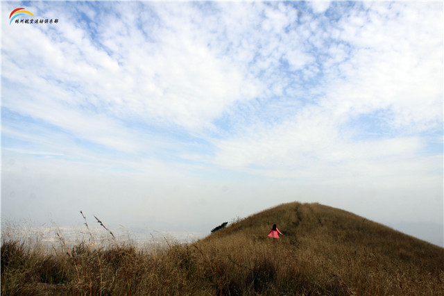 【心灵的飞行】—记11月20日林州轿顶山基地滑翔