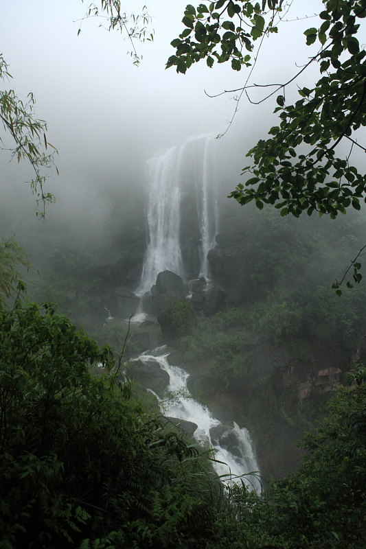 蜀南竹海,大足石刻,三峡旅游(3)-随州攻略攻略旅行社宜宾到湘西旅游游记图片