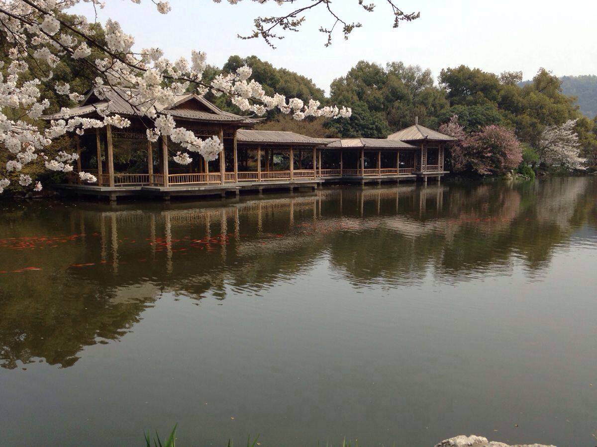 西湖旅游攻略_杭州西湖旅游攻略_西湖音乐喷