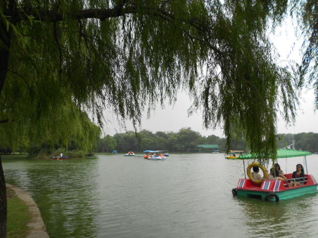                     盈湖泛舟.
