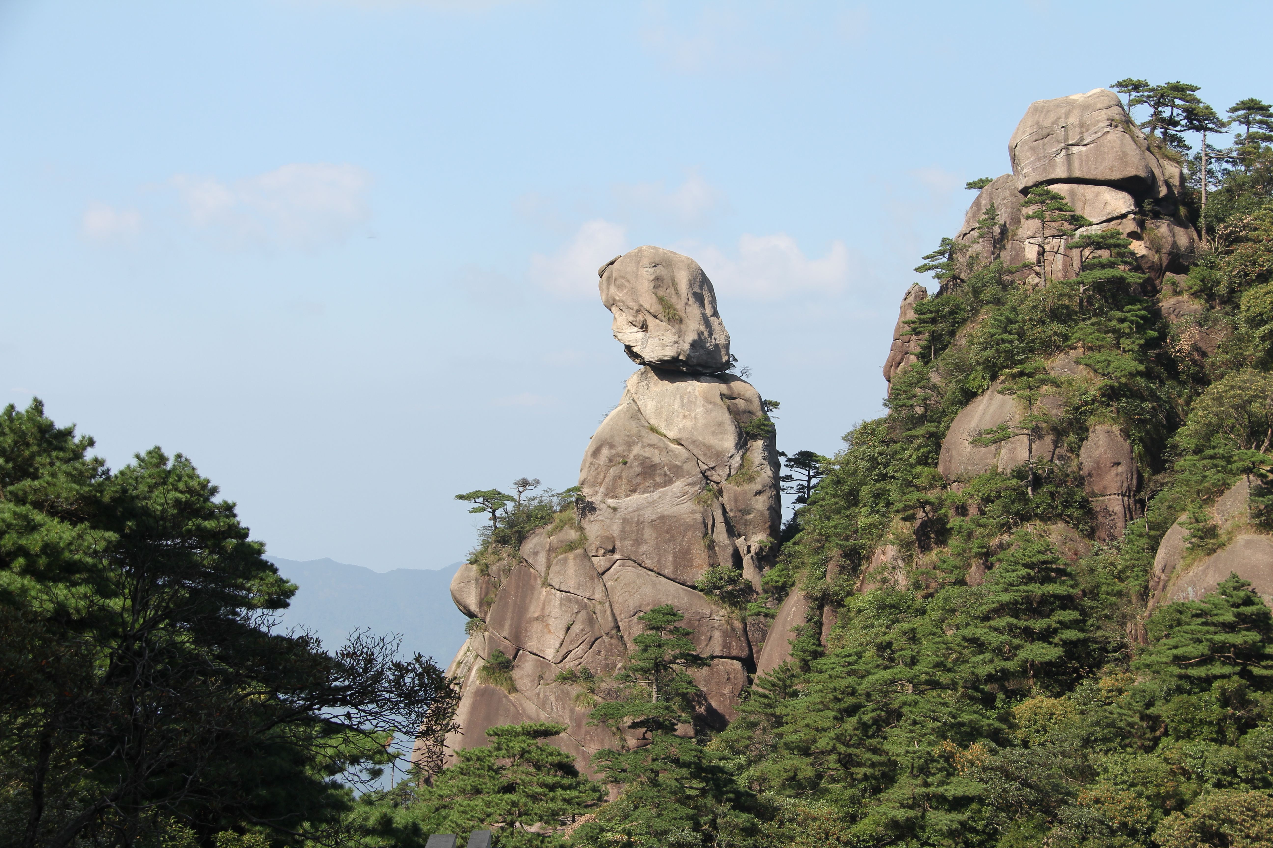        这就是传说中的"司春女神