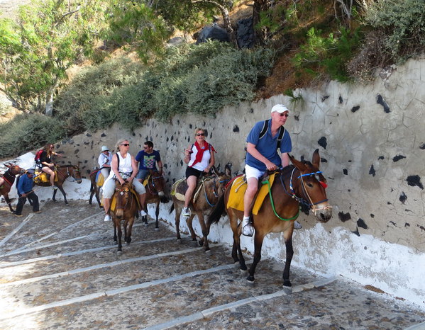 希腊旅行日记6--骑驴