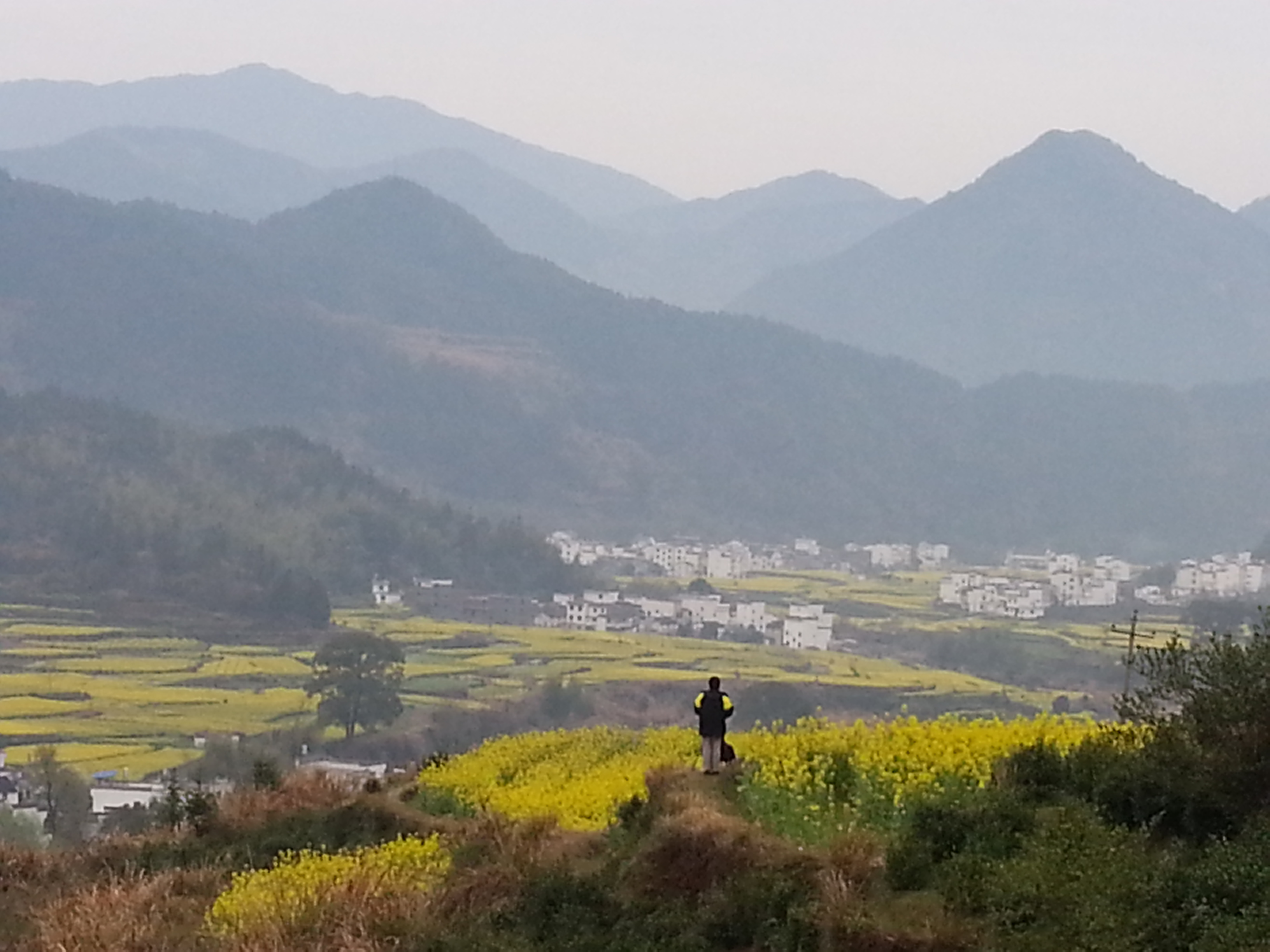 江岭景区