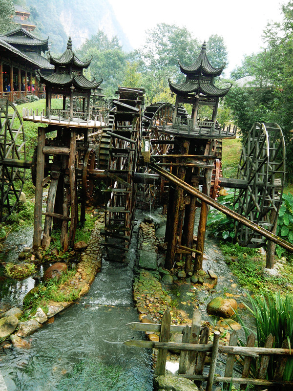 һyang----Ϸ˹ų,żҽ,կ,ų