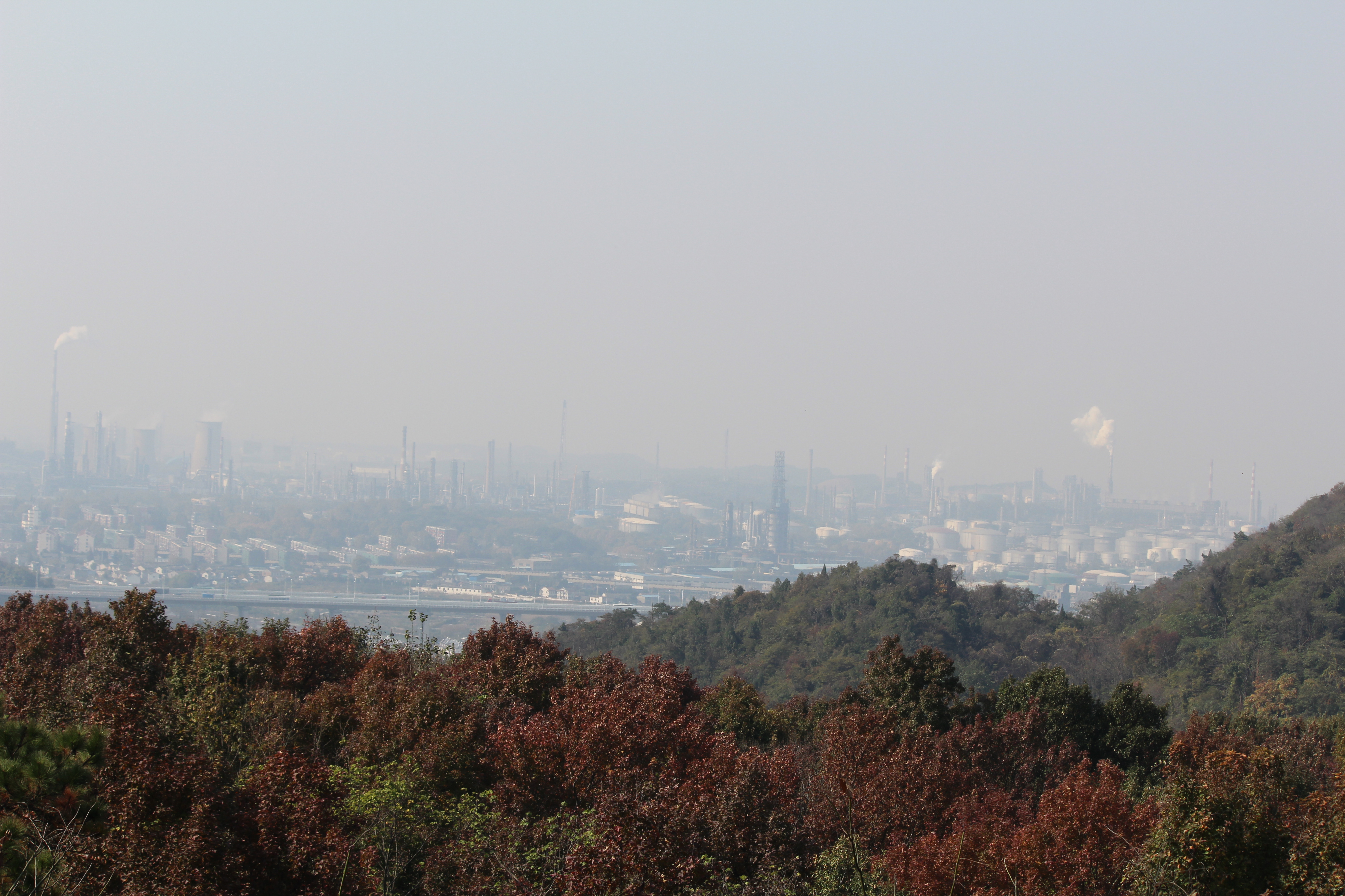 一叶知秋休闲游-南京栖霞山