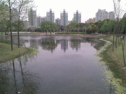上海浦东世纪公园,花木路,梅花路,一日游