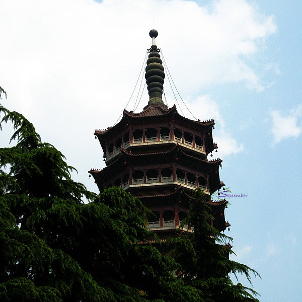 【美图】【江苏.扬州】高旻寺的自在天机 #古寺庙