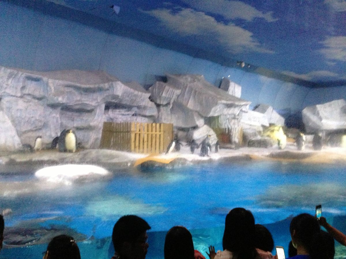 武汉海昌极地海洋世界