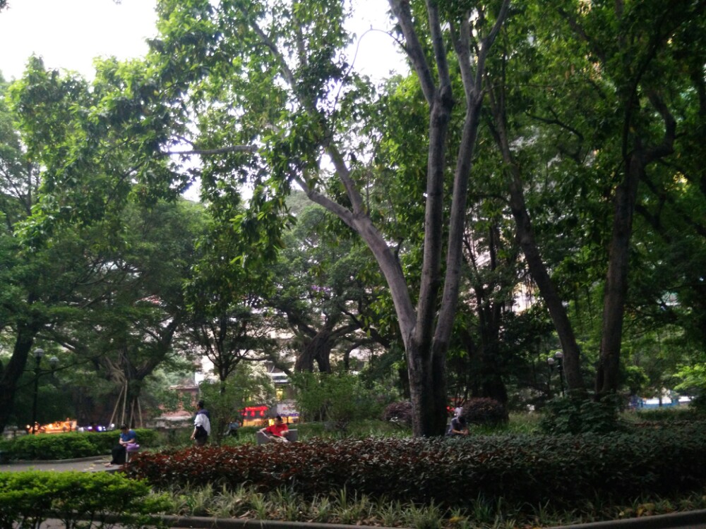 2019人民公园_旅游攻略_门票_地址_游记点评,广州旅游