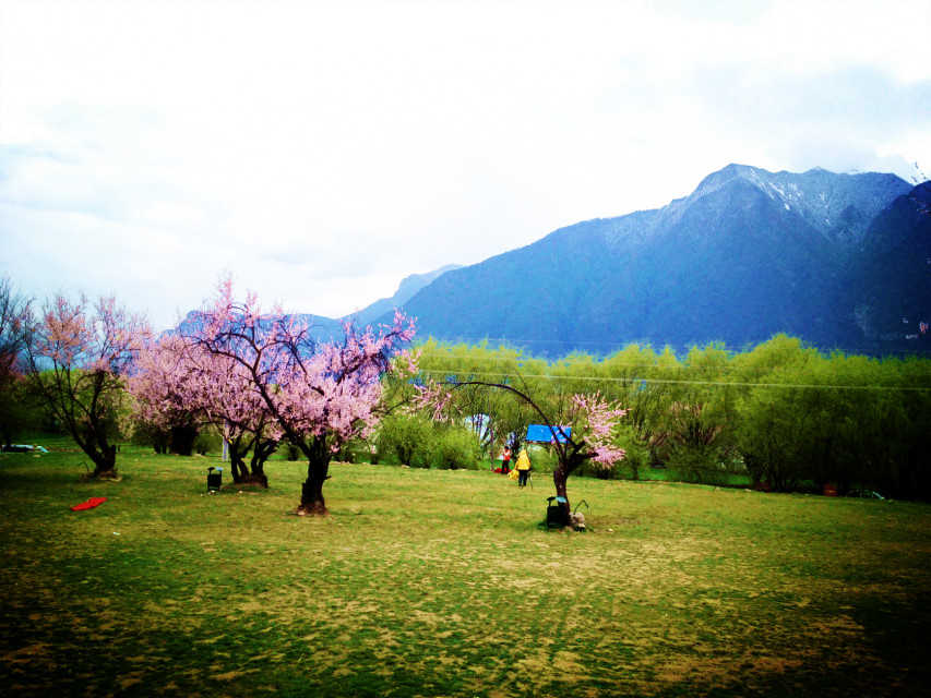 【携程攻略】林芝嘎拉桃花村适合朋友出游旅游吗,嘎拉