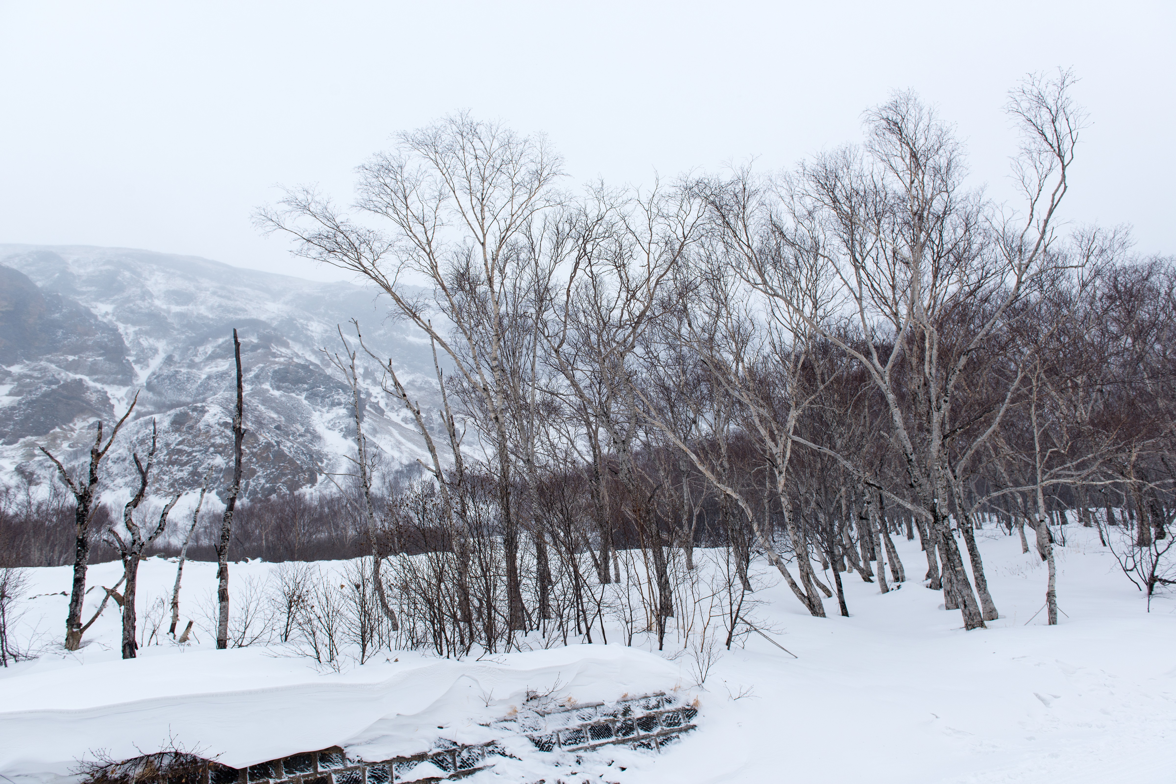 暴雪覆盖下的长白山