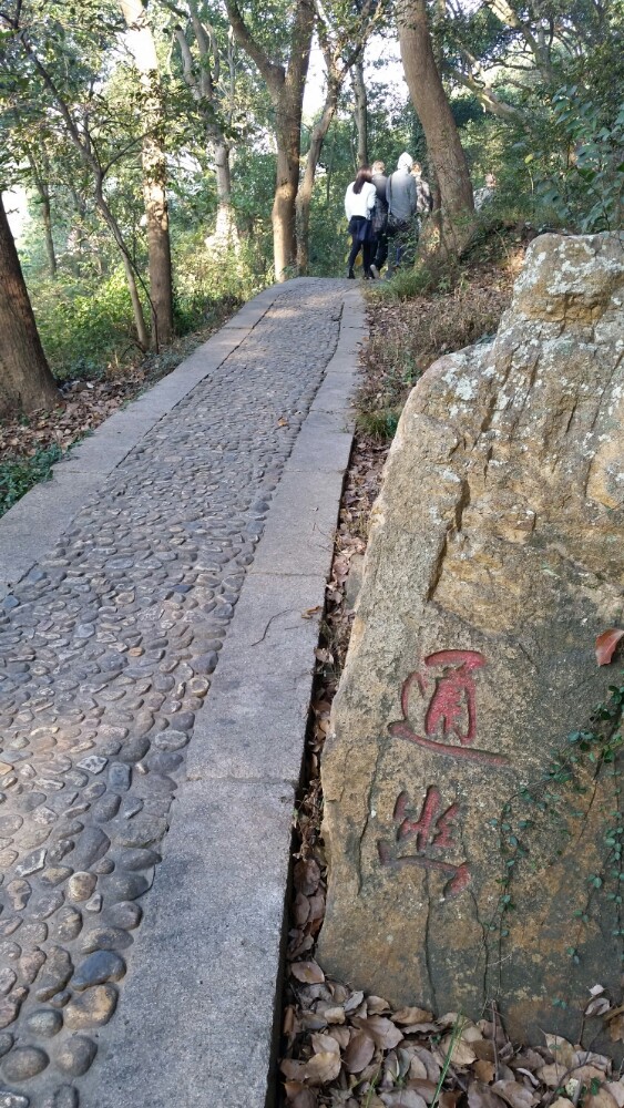 松江东佘山森林公园