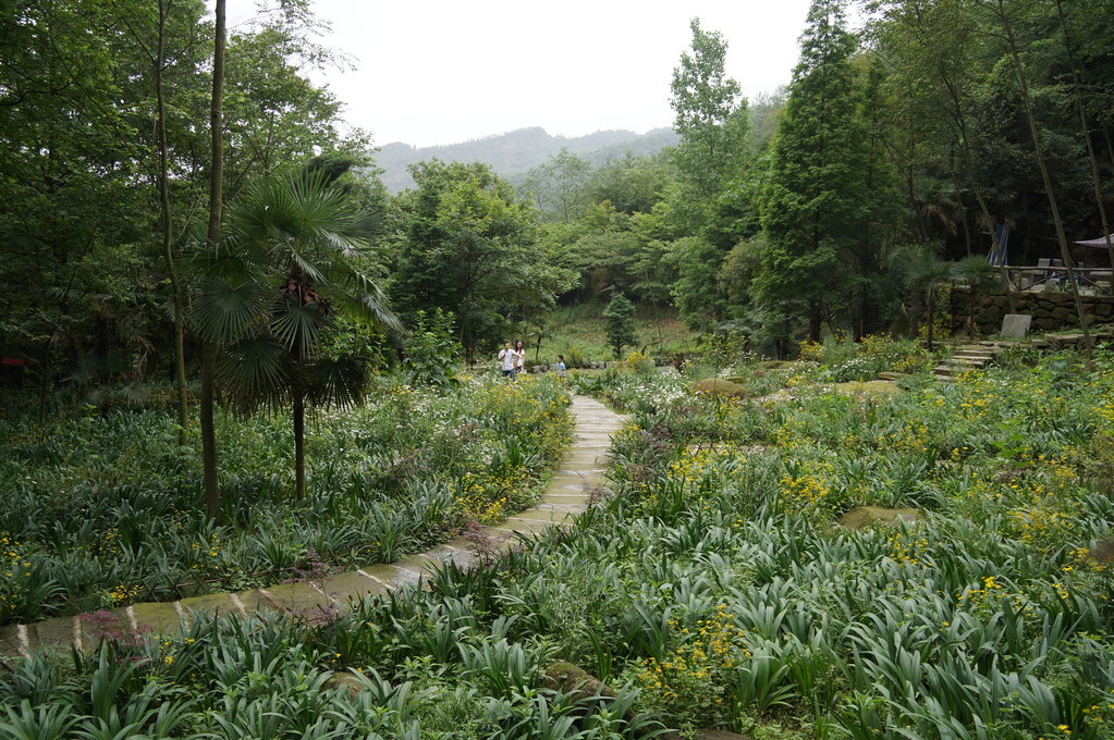 随意走走--彭州葛仙山的冰川瀑布