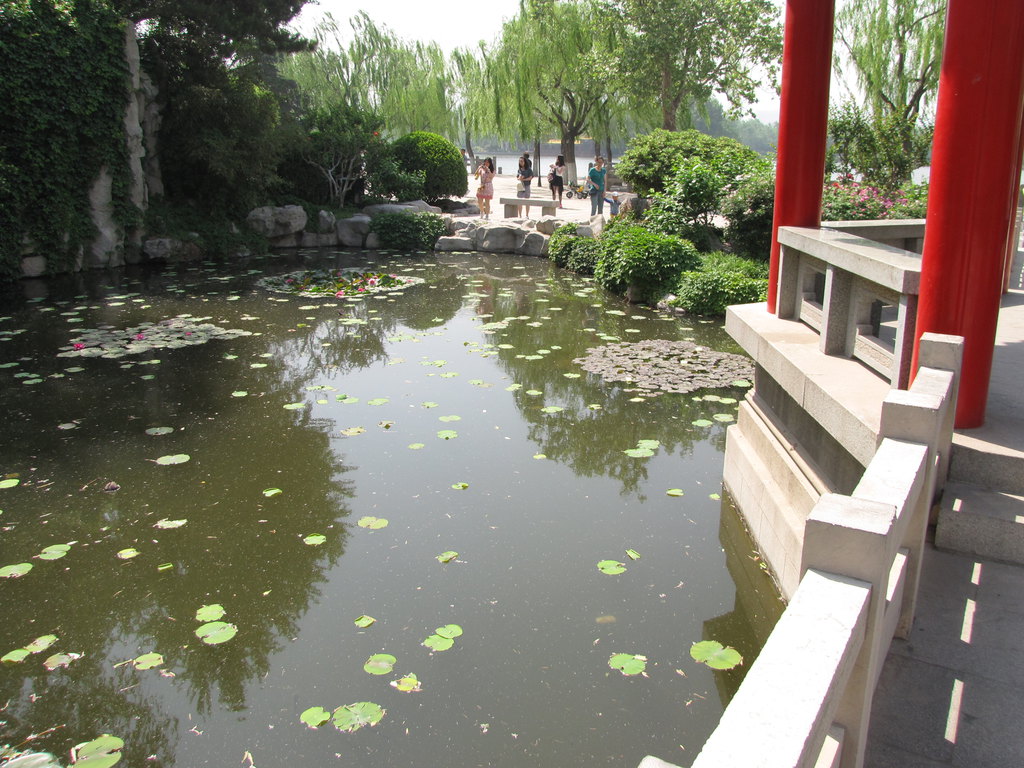 皇上,您还记得那年大明湖畔的夏雨荷吗?