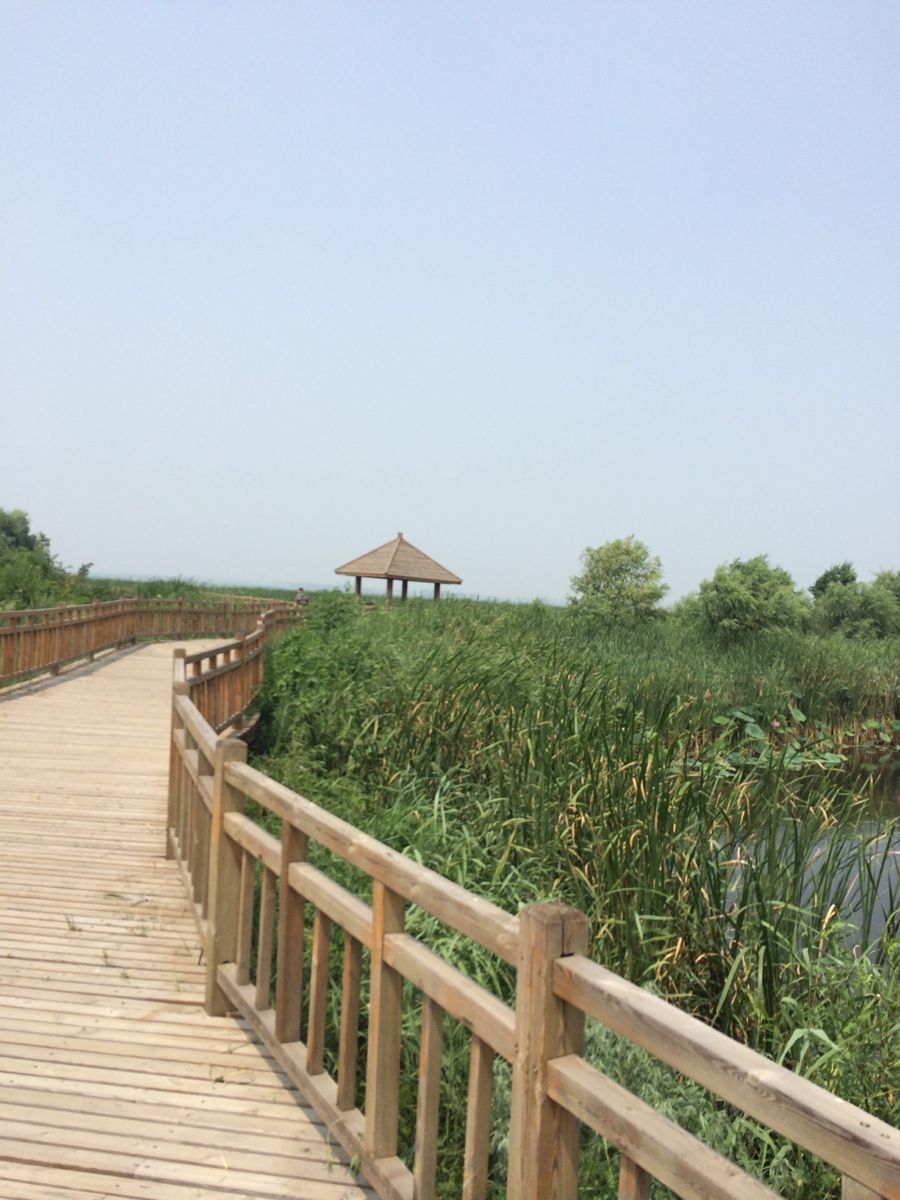 沈阳仙子湖