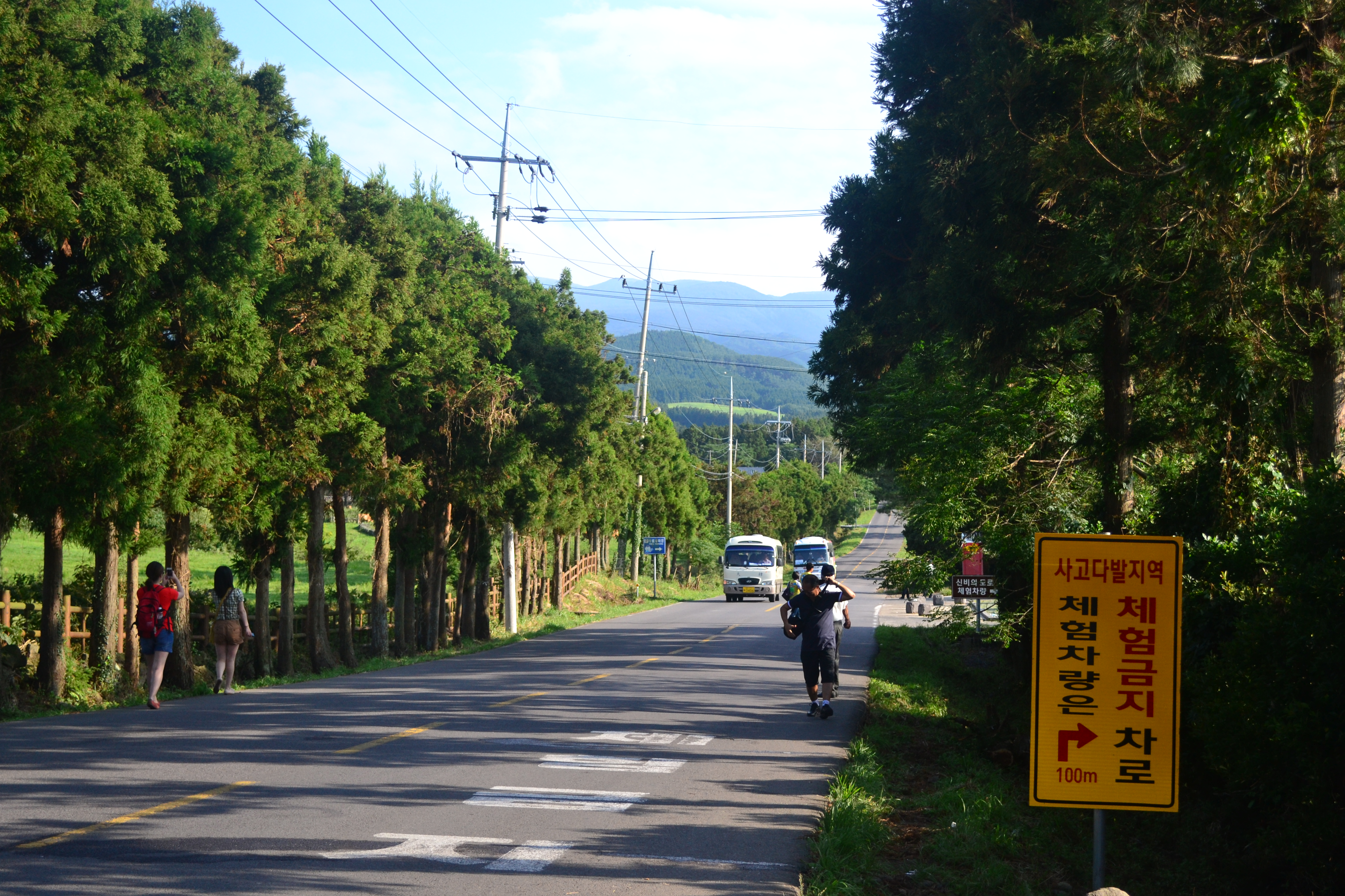 韩国5天跟团游,釜山,济州岛,首尔经典线路游览详细攻略 首尔游记