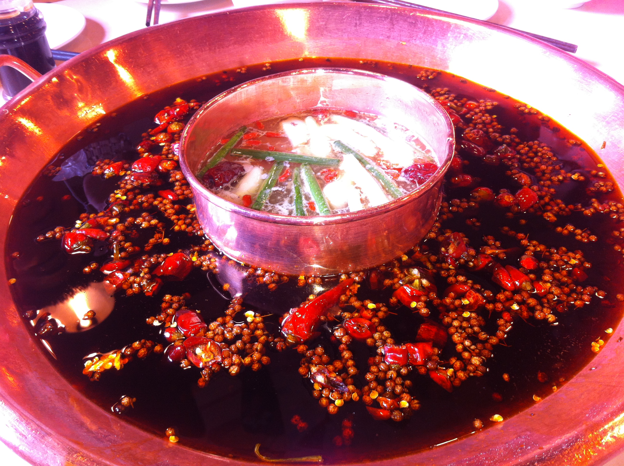 蜀九香火锅酒楼(彩虹店)