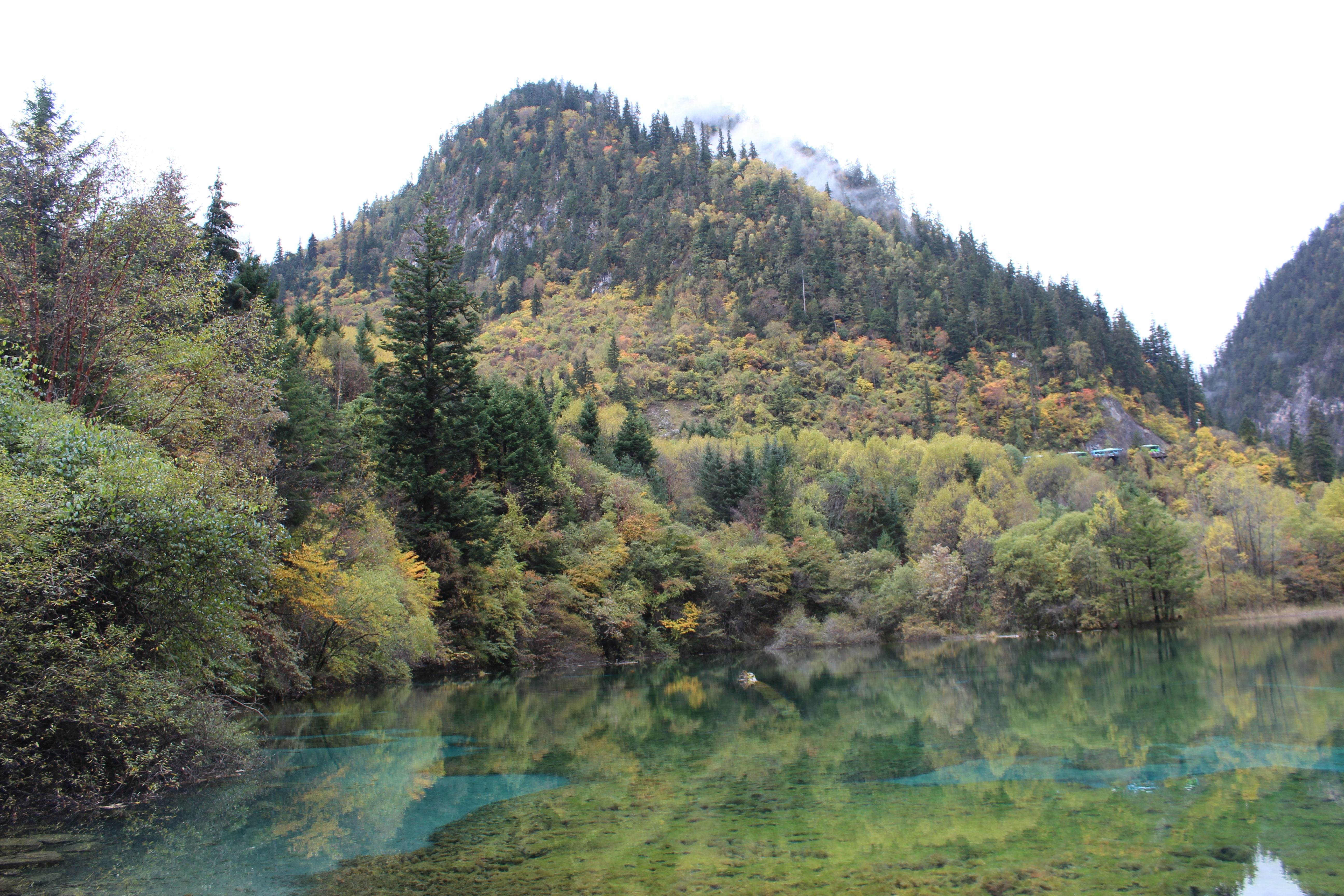 第一次到成都旅游(三)九寨沟篇 - 黄龙风景名胜区游记