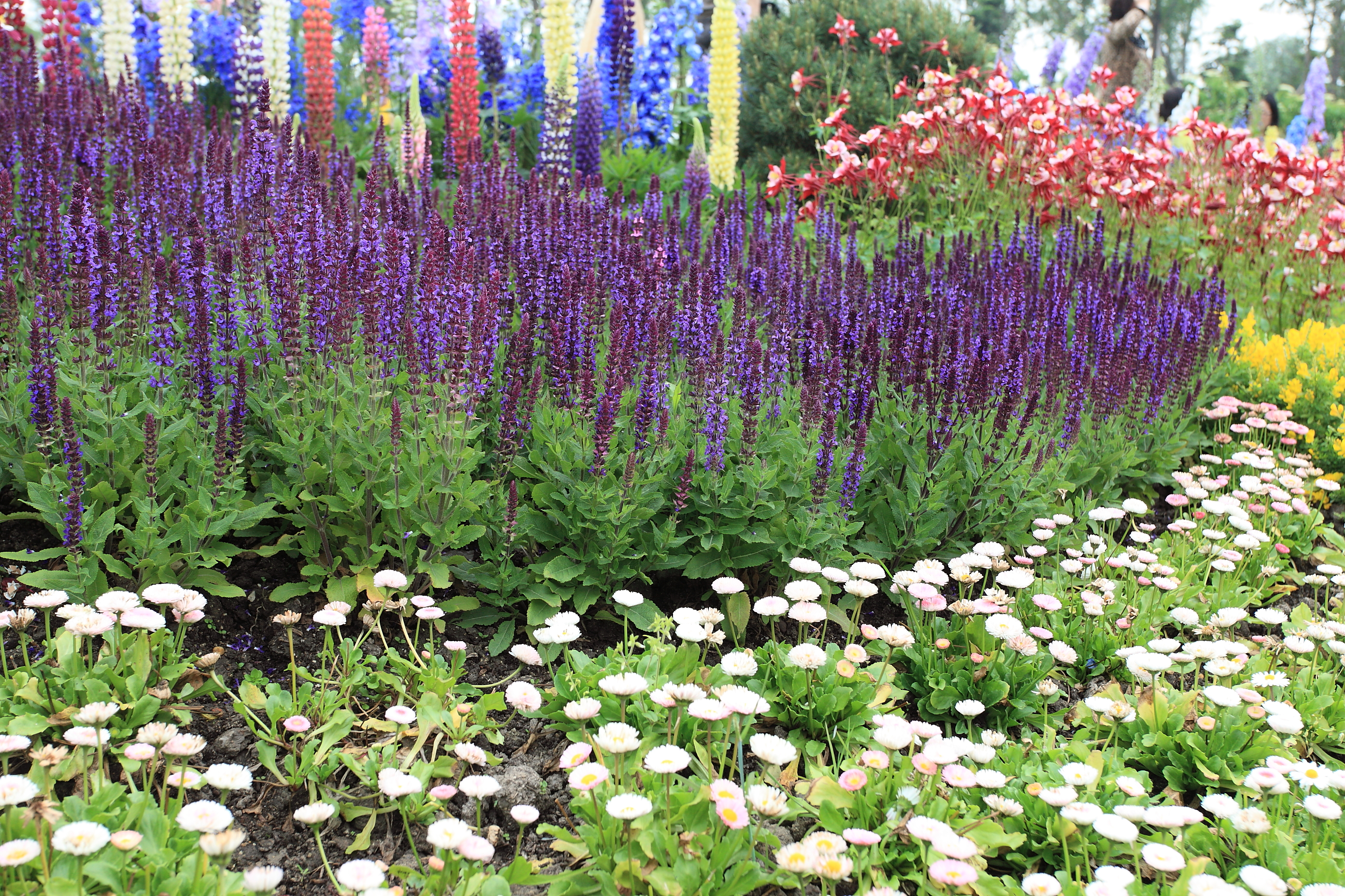 【i旅行】那些年，我们一起游过的公园