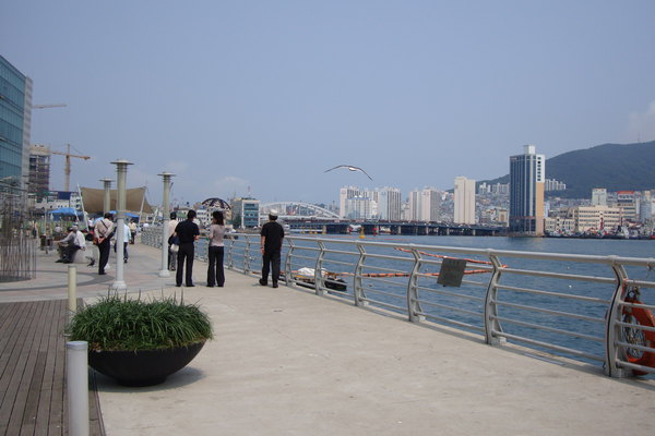 自由遊釜山。