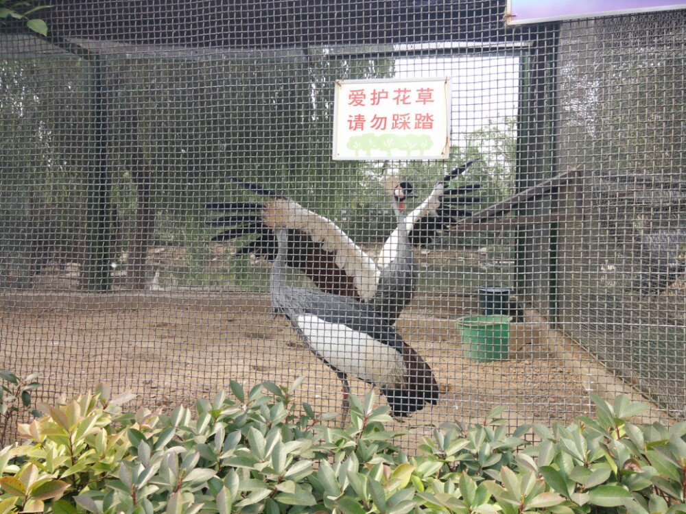 郑州动物园,郑州郑州动物园攻略/地址/图片/门票