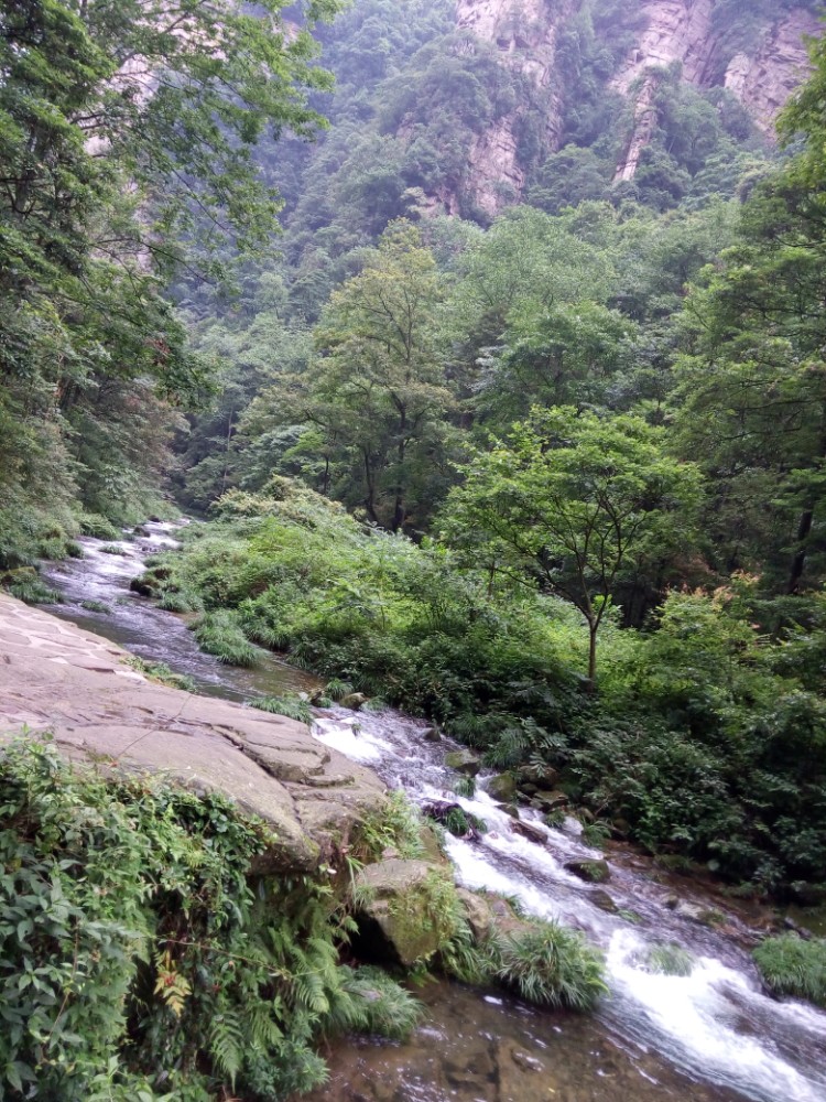 金鞭溪大峡谷 携程网