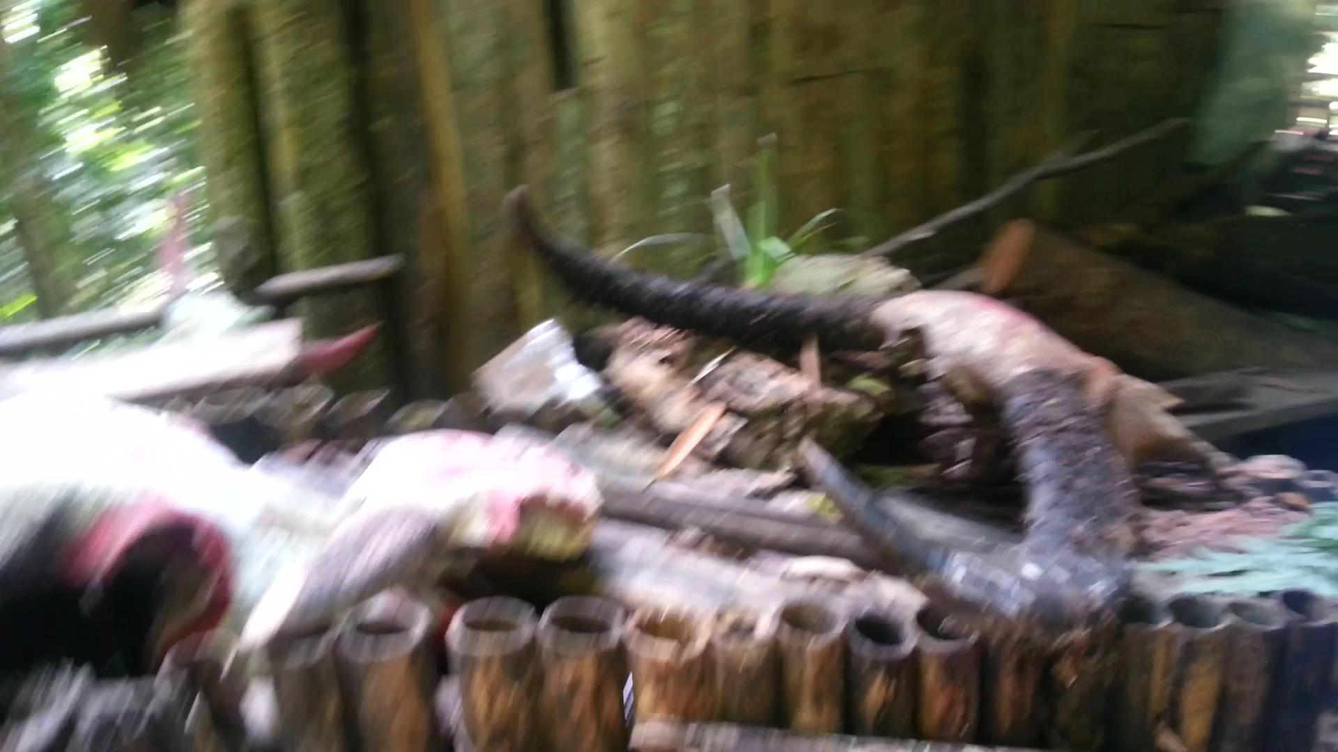 西双版纳