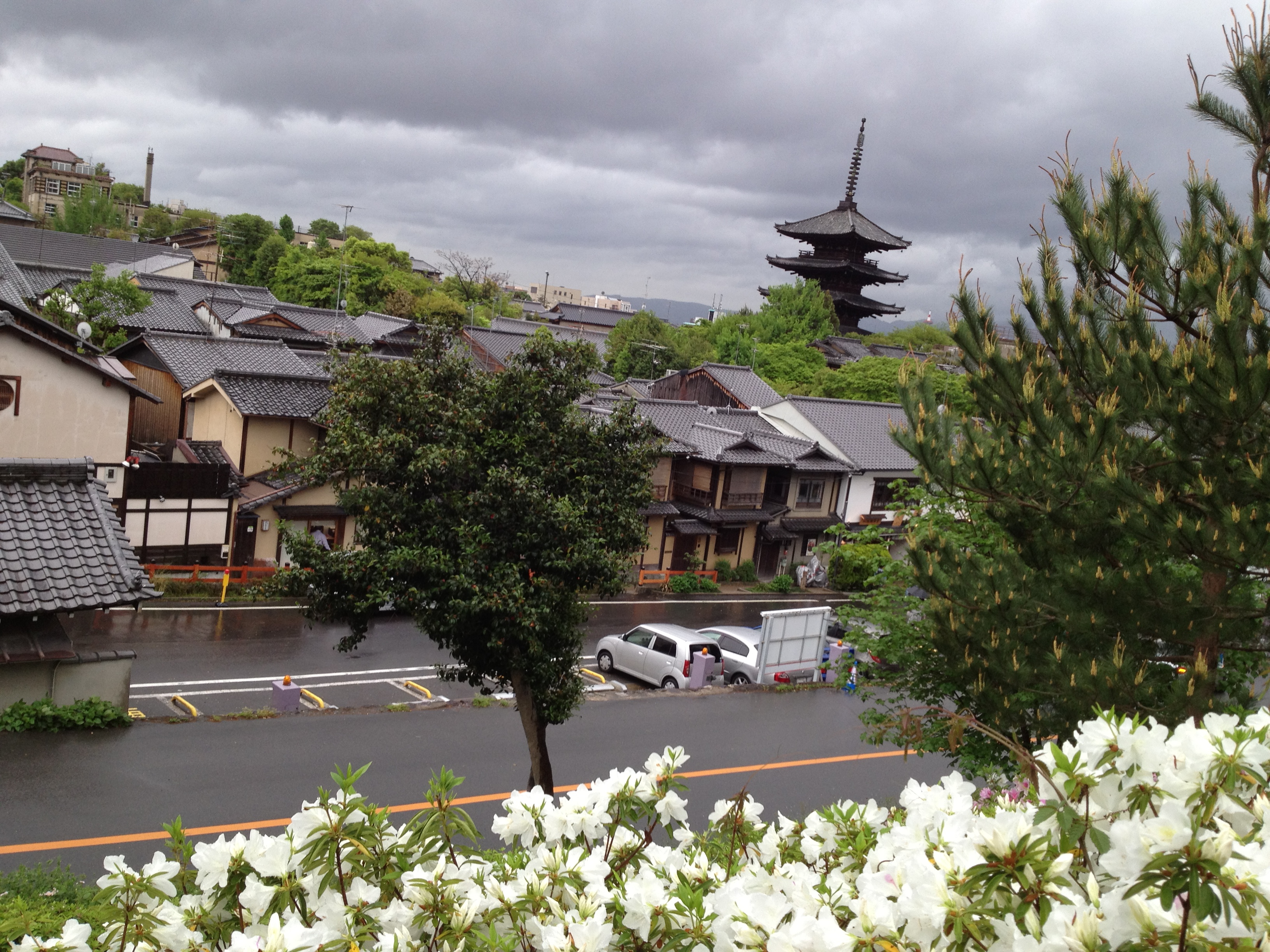 日本关西地区五日自由行之三京都